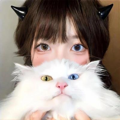 侠客行